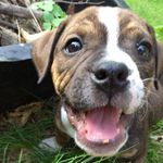 Shelley Dodge Babb - @shelley.babb - Instagram