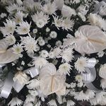 Shelly Doherty Jeronimo - @dohertyshelly - Instagram