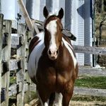 Shelly Doherty Travers - @travers.shelly - Instagram