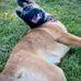 Shelley Doran - Facebook