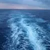 Shelly Doran - @shelly.doran7 - TikTok
