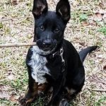Shelly Dover - @shellydover - Instagram