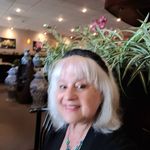 Shelley Dowd - @shelleydowd - Instagram