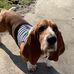 Shelly Doyle - Facebook