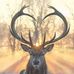 Shelly Drew - Facebook