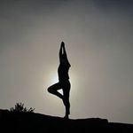 Dreyer Shelly - @dreyershelly - Instagram