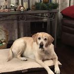 Shelley Dreyer - @shelley.dreyer.1 - Instagram