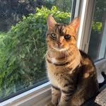 Shelly Hunter Duff - @duff.shelly - Instagram