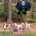 Shelley Dunham - Facebook