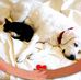 Shelley Dunlap - Facebook