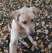 Shelley Dunn - Facebook
