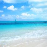 Shelly Duran - @lovebeachsandypaws - Instagram