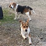 Shelly Durst - @shellyanndurst - Instagram