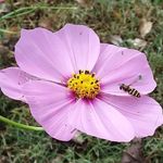 Shelly Wilson Durst - @shellydurst - Instagram