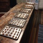 Shelly Dwyer - @tea_and_chocolate_chip_cookies - Instagram