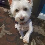 Shelly Dye - @shellydye32 - Instagram