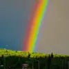Shelley Dyer - @shelley.dyer0 - TikTok