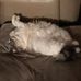 Shelley Ebersole - Facebook
