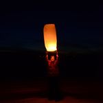 SHELLY ECKERT - @sgsjgecko - Instagram