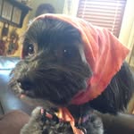 Shelly Eden - @shellyleden - Instagram