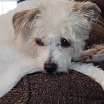 Shelly Eden Nelson - @shell.ynelson - Instagram