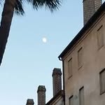 Shelly Edenbeck - @shellyedenbeck - Instagram
