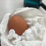 Egbert Shelly - @egbert.shelly131 - Instagram