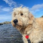 Shelley Eggers - @eggersshelley - Instagram
