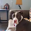 shellyelder1224 - @shellyelder795 - TikTok