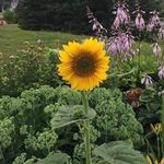 Shelley Ellsworth - @shelley.ellsworth66 - Instagram