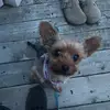 Shelly Ernst - @shelly_7801 - TikTok