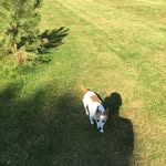Shelley Ewing - @shelleyewing53 - Instagram