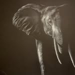 Shelly Barq Fine Art - @shellybarqfineart - Instagram