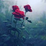 shelly gates - @luv_sickk4 - Instagram
