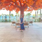 Shelly Gerber - @gerbershelly - Instagram