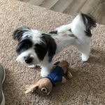 Shelly Gerber - @shellygerber1 - Instagram