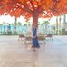Shelly Gerber - Facebook