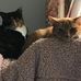 Shelly Herring - Facebook