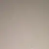 shellyherring756 - @shellyherring756 - TikTok