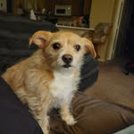 Shelly House - @houseshelly - Instagram
