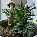 Shelly Keith - @nothing_suspicious_going_on - Instagram