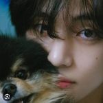 shelly_kim - @shelly_kim7 - Instagram