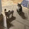 Shelly Ledbetter - @shelly.ledbetter - TikTok
