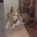 Shelly Lloyd - Facebook