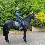 Shelly Lloyd - @sslsporthorses1975 - Instagram