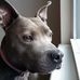 Shelly Rose Macduff - Facebook