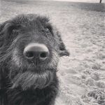 Shelly Mann - @shellyfredmann - Instagram