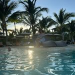 Shelly Mann - @shellymanngill - Instagram