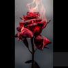 shellymann503 - @shellymann503 - TikTok