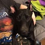 Shelly Manning - @manning.shelly - Instagram